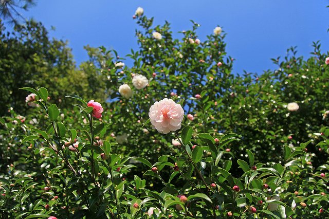 a0242438_19114916.jpg