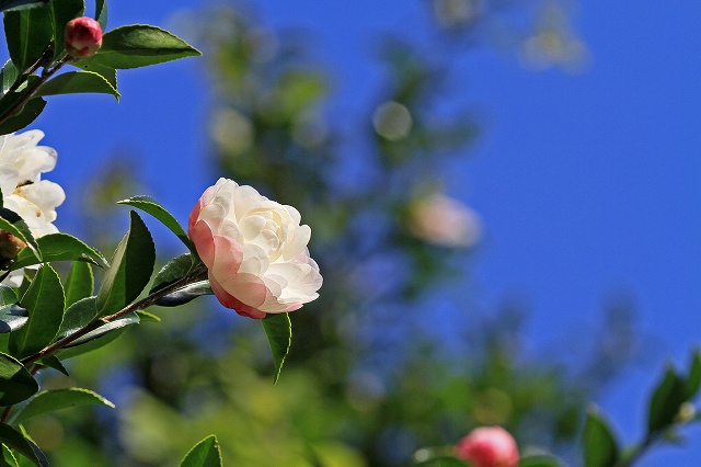 a0242438_1912213.jpg