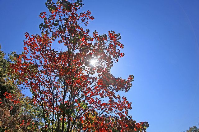 a0242438_1913498.jpg