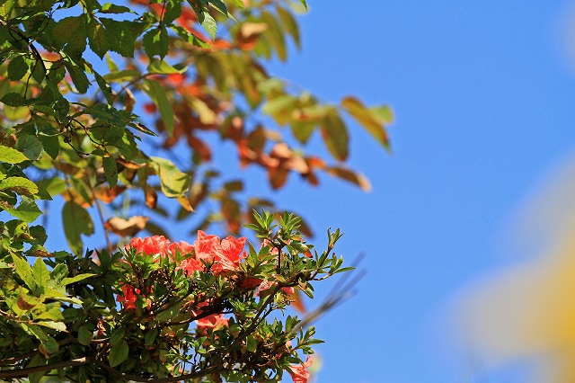 a0242438_19143769.jpg