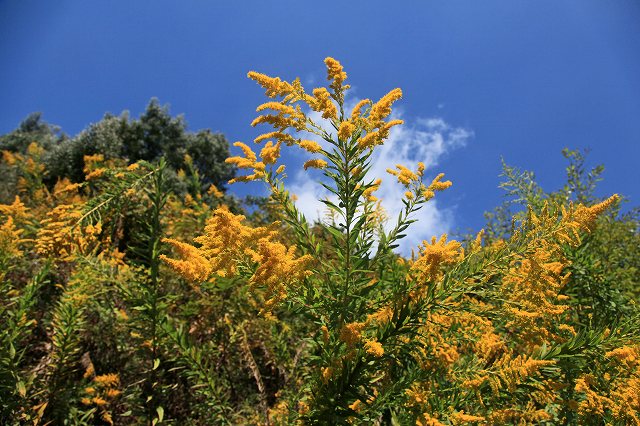 a0242438_1915754.jpg