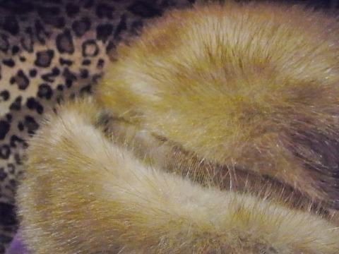a0159652_22185159.jpg