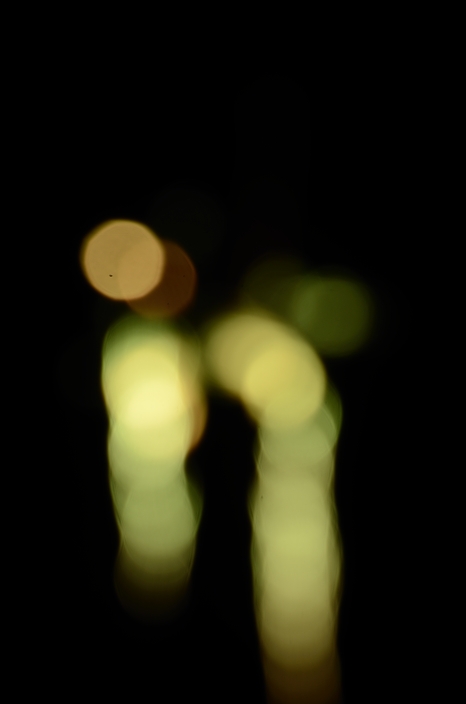 a0263952_18295698.jpg