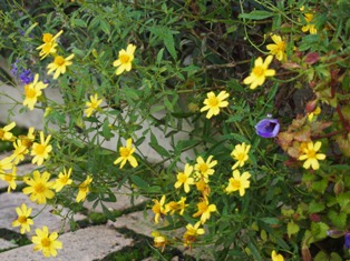 b0246758_10243067.jpg