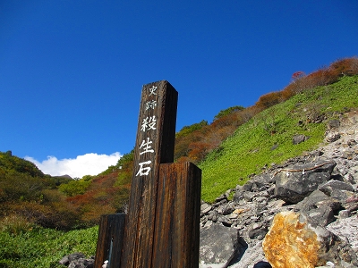 b0145863_20465656.jpg