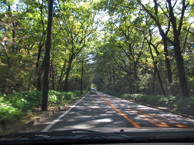 b0145863_21185295.jpg