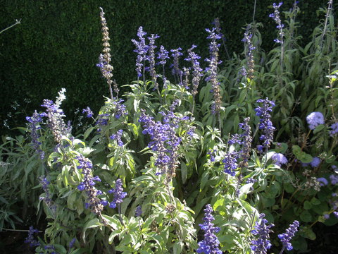 d0150967_1235537.jpg