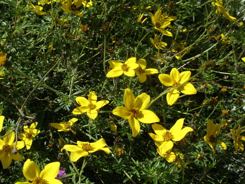 d0150967_1242198.jpg