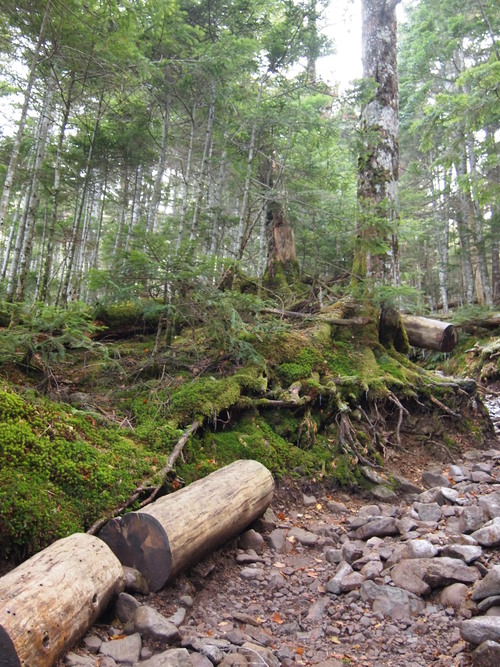 c0144868_1156869.jpg