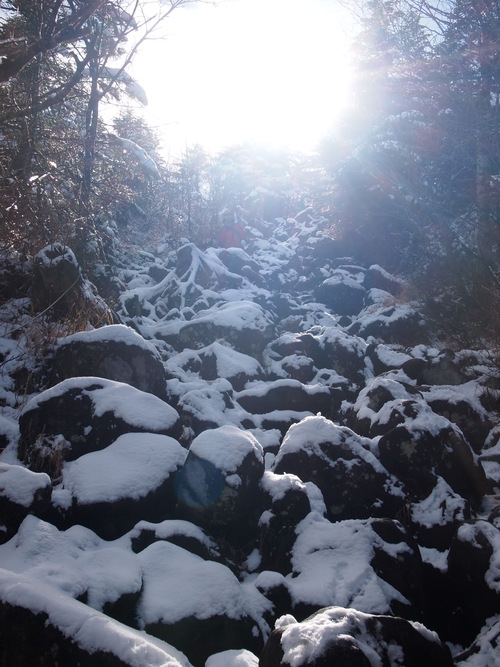 c0144868_127169.jpg
