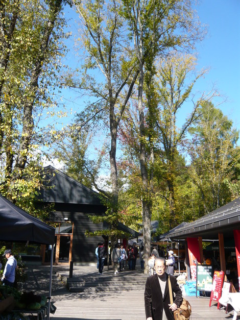 d0108969_12231117.jpg