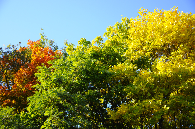 c0026870_16542651.jpg