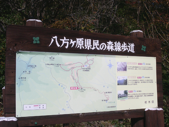 e0118274_20215468.jpg