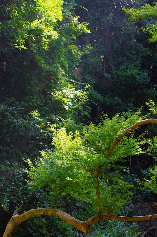 a0142976_15292110.jpg
