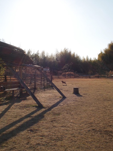 b0239176_14594494.jpg