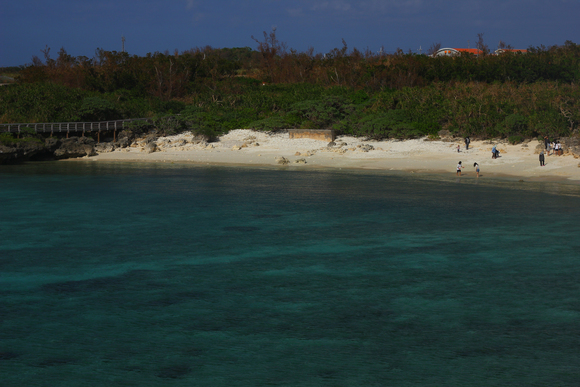 d0056777_2391718.jpg