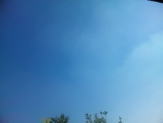c0123679_13175049.jpg