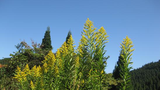 e0237580_940228.jpg
