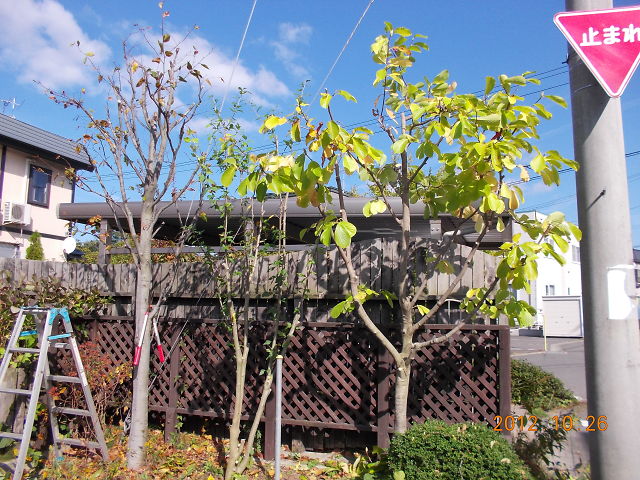 a0007388_13582746.jpg