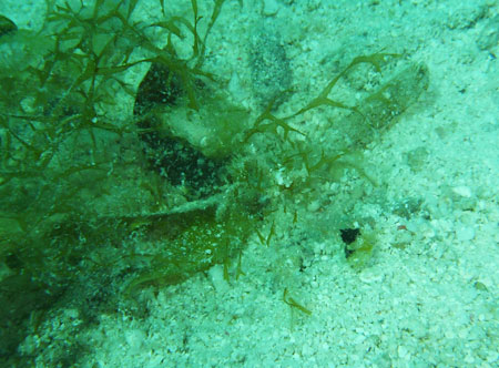 e0105088_18133987.jpg