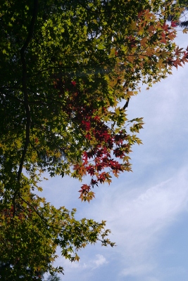 b0226089_2229455.jpg