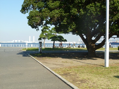 c0219090_184446.jpg