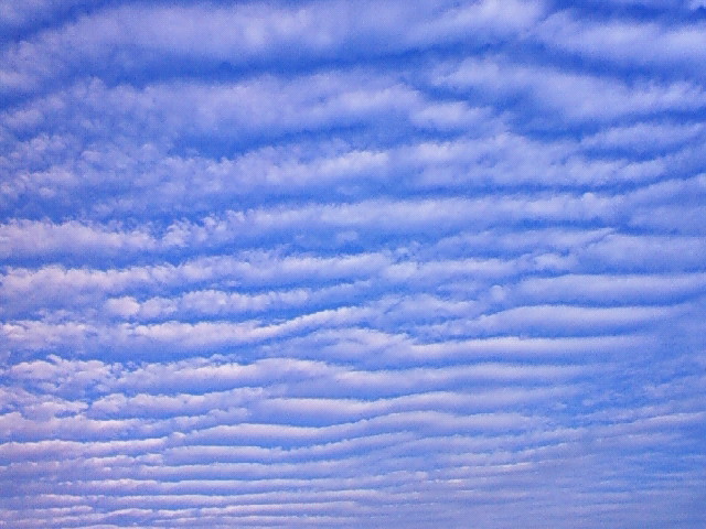 f0018790_1174119.jpg
