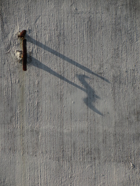 a0193698_19213675.jpg