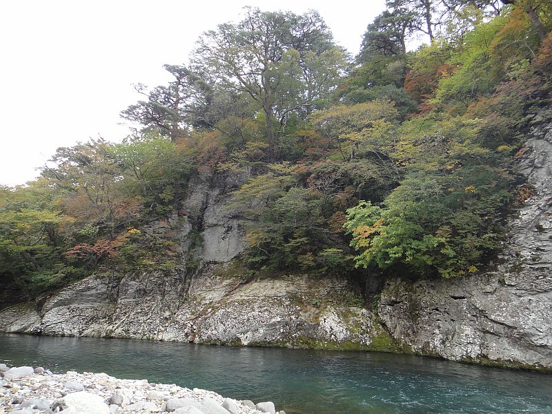 b0172805_7241142.jpg