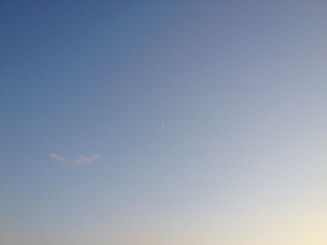 c0064706_16292629.jpg