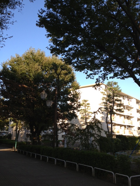 c0064706_16484512.jpg