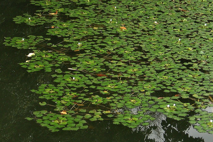a0212807_11562728.jpg