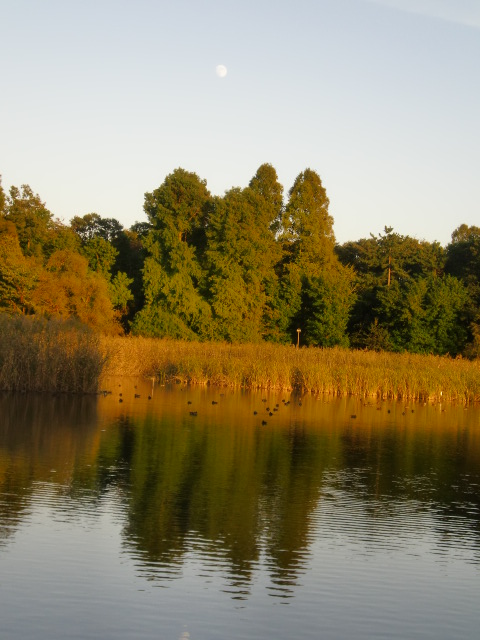 f0162908_228830.jpg