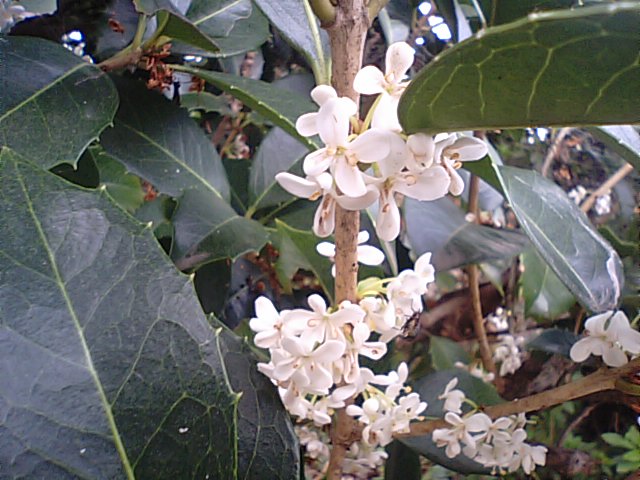 f0231709_18505875.jpg