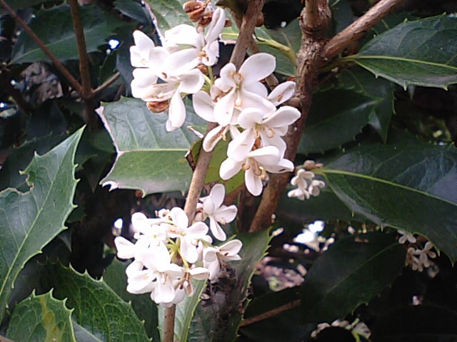 f0231709_18512884.jpg