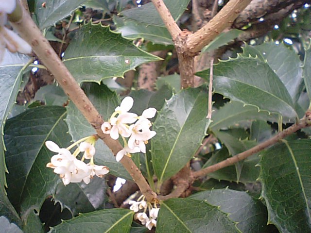 f0231709_18522765.jpg