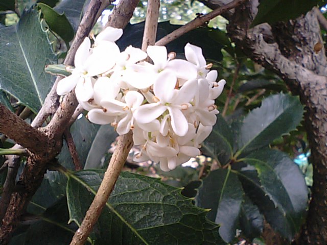 f0231709_1853654.jpg