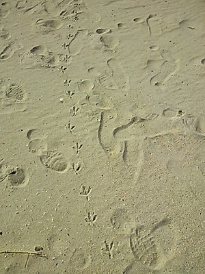 a0275715_14353761.jpg