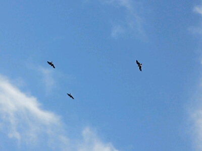 a0275715_15422671.jpg