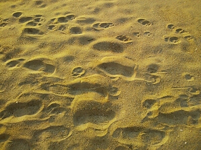 a0275715_782238.jpg