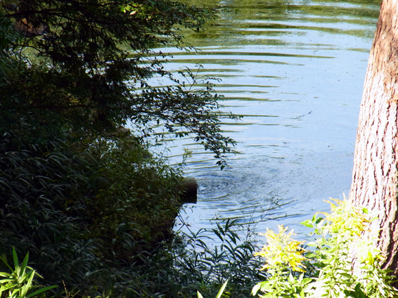 e0083517_281246.jpg
