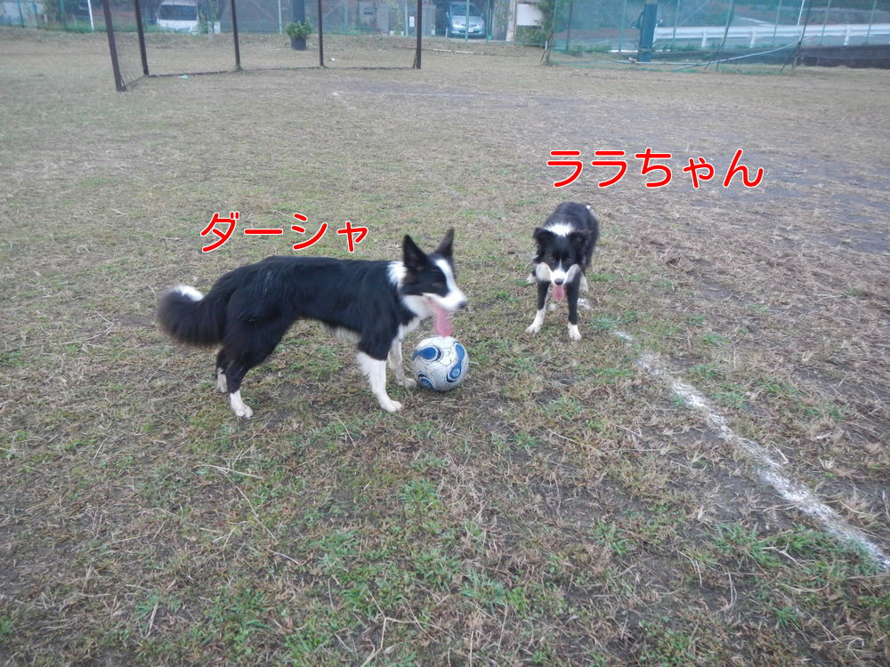 a0232619_16345380.jpg