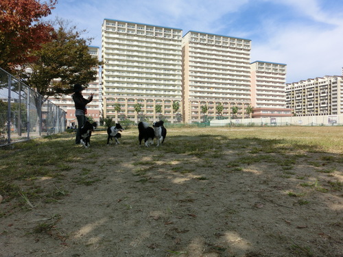 e0179321_20503837.jpg