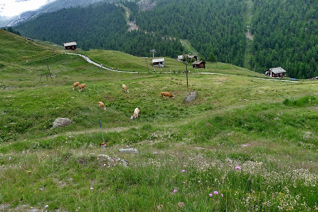 e0184921_16181821.jpg