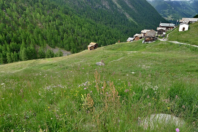 e0184921_16211721.jpg