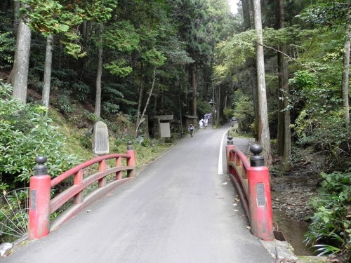 f0213825_1653389.jpg