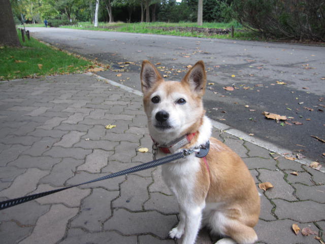 e0191826_0132041.jpg