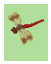 c0123031_20365816.gif