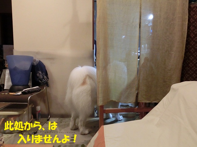 e0196135_105517100.jpg