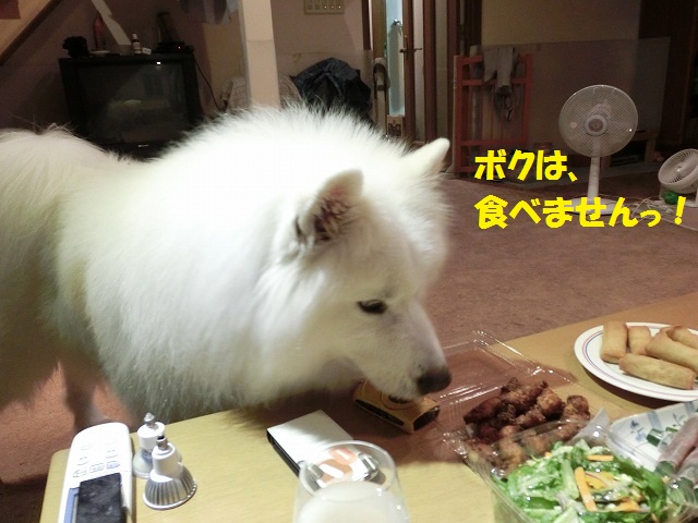 e0196135_10551871.jpg
